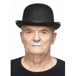 Mustache, gray and white