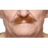 Mustache, ginger