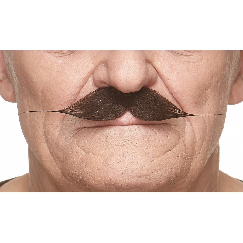 Mustache, chestnut