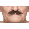 Mustache, chestnut