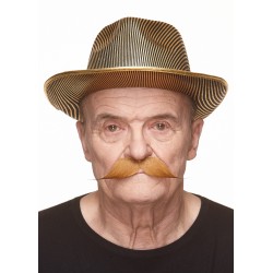 Mustache, brown
