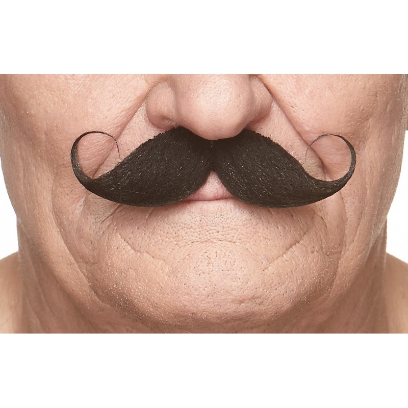 Mustaches (pack of 6 pcs.)