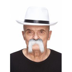 Mustache, gray and white