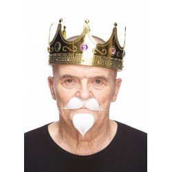 Colonel Sanders mustache with a Goatee, white