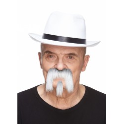 Mustache and beard, gray and white