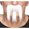 Mustache and beard, white