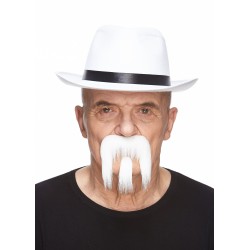 Mustache and beard, white