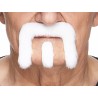Mustache and beard, white