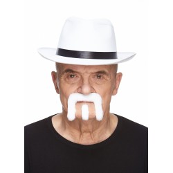 Mustache and beard, white