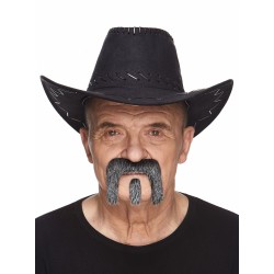 Mustache and beard, sald and pepper