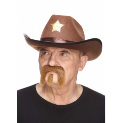 Mustache and beard, chestnut