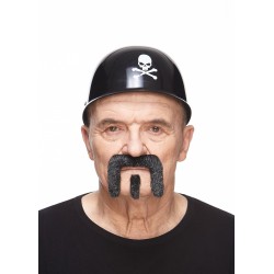 Mustache and beard, gray and white