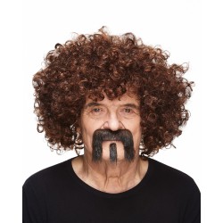 Mustache and beard, brown with gray