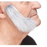 Mutton Chops sideburns, gray and white