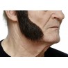 Sideburns, brown with gray