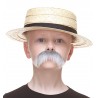 Walrus mustache for Kids, gray and white