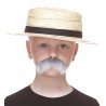 Walrus mustache for Kids, gray and white