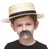 Walrus mustache for Kids, salt and pepper