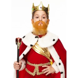 Nomad mustache and beard for Kids, ginger