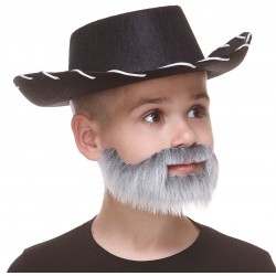 Short Boxed mustache and beard for Kids, gray and white