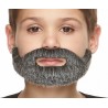 Short Boxed mustache and beard for Kids, salt and pepper