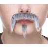 Zappa mustache and beard for Kids, gray and white