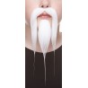 Shaolin mustache and beard for Kids, white Color