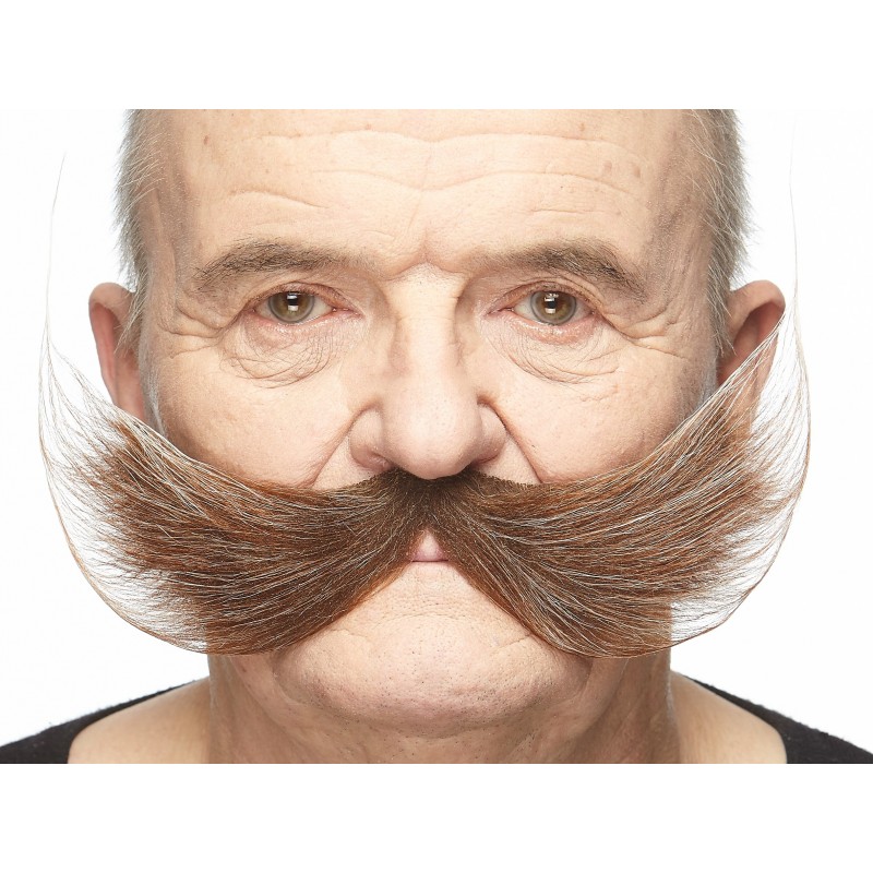 Fishermans  mustache, brown and gray