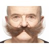 Fishermans  mustache, brown and gray
