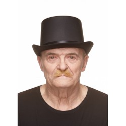 Mustache, blond