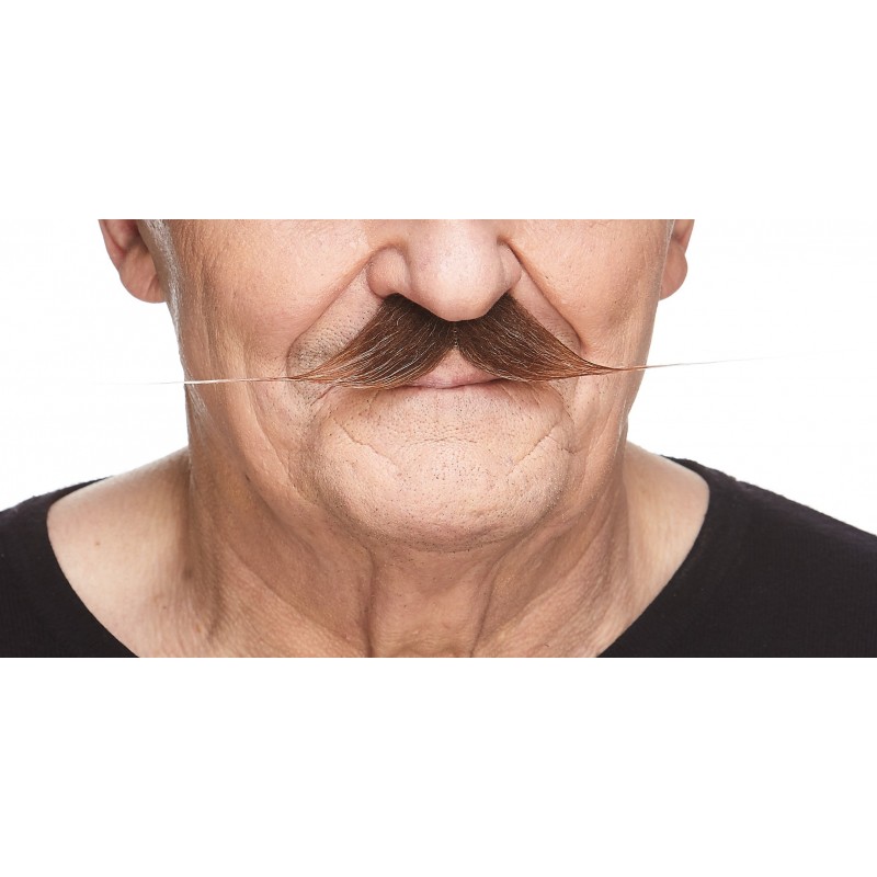 Mustache, brown and gray