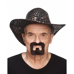 Mustache and beard, dark brown