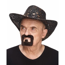 Mustache and beard, dark brown