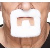 Mustache and beard, white