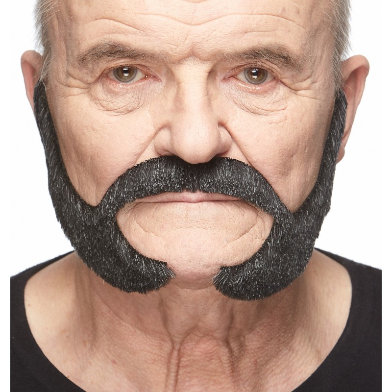 Mustache and beard, gray and white