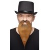 Philosopher mustache and beard, brown 