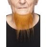 Beard, ginger