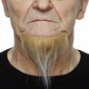 Beard, blond