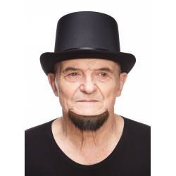 Beard, brown with gray