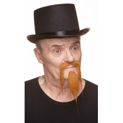 Mustache and beard, ginger