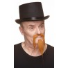 Mustache and beard, ginger