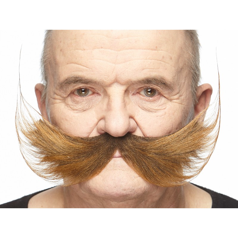 Fishermans  mustache, brown