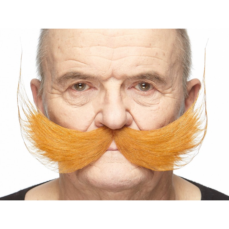 Fishermans  mustache, ginger