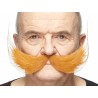 Fishermans  mustache, ginger
