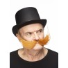 Fishermans  mustache, ginger