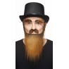 Mustache, beard and eyebrows, brown