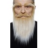 Mustache, beard and eyebrows, blond