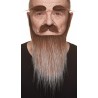 Mustache, beard and eyebrows, brown and gray