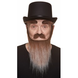 Mustache, beard and eyebrows, brown and gray