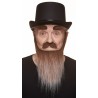 Mustache, beard and eyebrows, brown and gray
